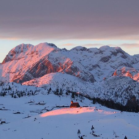 Velika Planina - Chalet Stane - Alps Стаховица Экстерьер фото