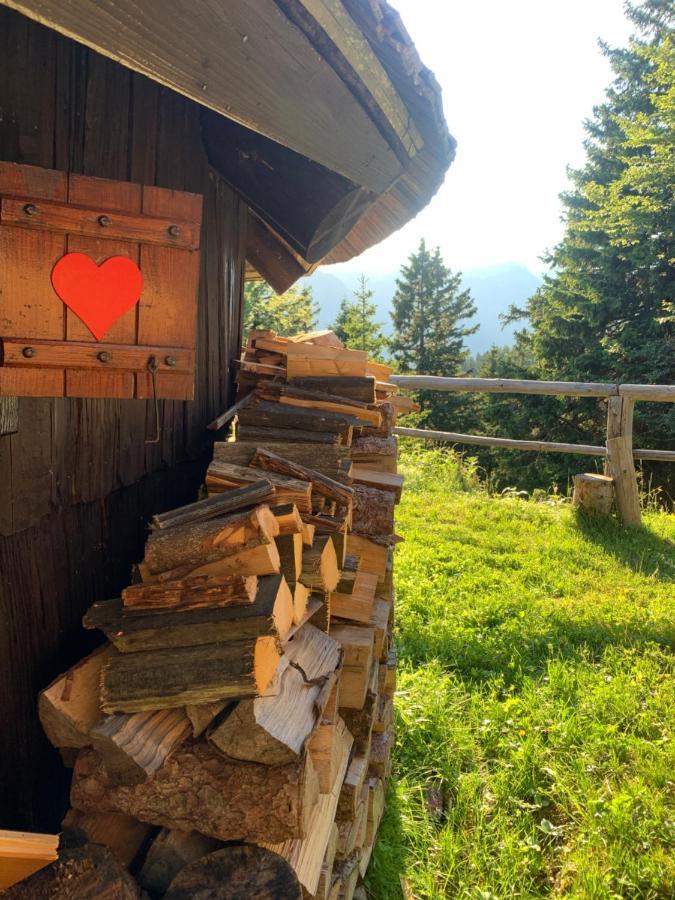 Velika Planina - Chalet Stane - Alps Стаховица Экстерьер фото