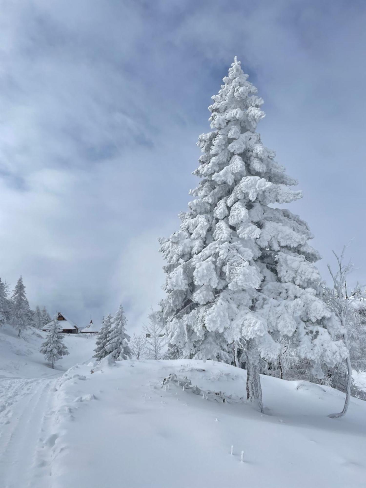 Velika Planina - Chalet Stane - Alps Стаховица Экстерьер фото